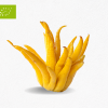 Mano de Buda Eco (1.5 Kg)