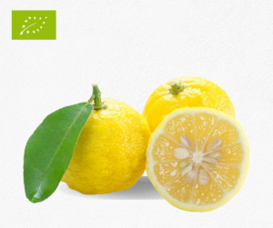 Comprar limón yuzu ecológicos bio AgroJete