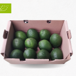 Aguacate Bacon Eco (2Kg)