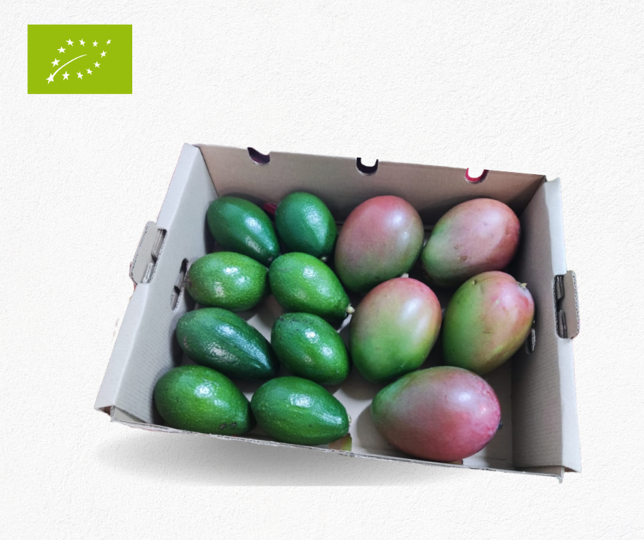 comprar mangos y aguacates ecológicos bio AgroJete
