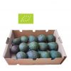 Aguacate Lamb-Hass Eco (4kg)